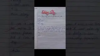 Diary Entry About first metro ride | Diary Entry kaise likhe | DAILY ENTRY