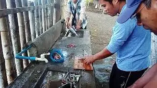 Pamahaw sa Catian Beach November 26,2024