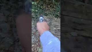 357 magnum vs book #shorts #gun #revolver