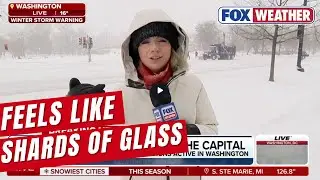 FOX Weather's Katie Byrne Getting Pelted with Sleet While Reporting in Washington D.C.