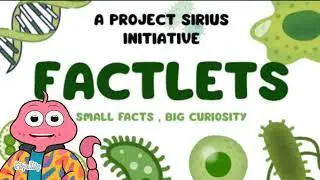 Bananas are radioactive??!🤯🍌 Factlet by Project Sirius × Talking Scorpio 👩‍⚕️✨ #video