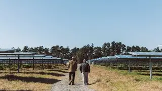 Hampton, Estill, and Cameron Solar Parks | South Carolina Local Experiences