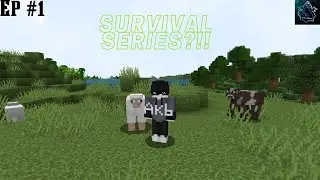 Survival series?!! | Minecraft | Survival series | AKB GAMING