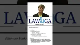 Voluntary Bankruptcy - Georgia Law