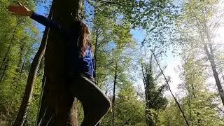 Nature Meditation  Music 1 Hour