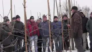 Klik na młodych drzewkach - Peter van Arkel. cz.1