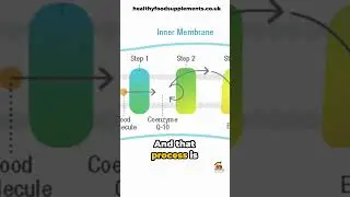 Essential Neolife Coq10: Powering Every Cell | Neolife Whole Food Supplements  #neolife #organic