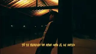 Aster Vandals - Dime 🌹