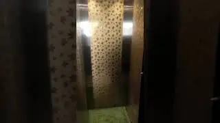small Home lift with Gold design Cabin #lift #elevator#hydraulic#Gateslift