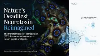 The Deadly Delicacy: Unlocking the Secrets of Tetrodotoxin (TTX)