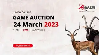 24 March 2023 GAME AUCTION