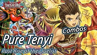 Yu-Gi-Oh! PURE TENYI COMBOS+DECKLIST! POST RISE OF THE DUELIST! June 2020 Banlist!