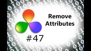 How To Use The Remove Attributes Option In DaVinci Resolve