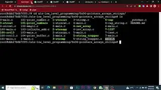 0x06. C - More Pointers, arrays and strings