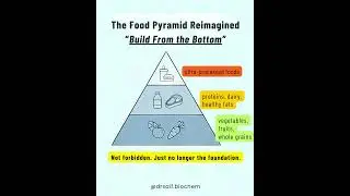 The US Food Pyramid Update!  #biochemistry #nutrition #foodpyramid