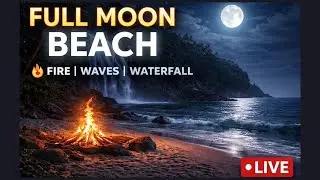 Full Moon Beach 🔥 13 hours of Fire, Waves & Waterfall | Deep Sleep & Calm Night Ambience (LIVE)