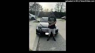 WildnessWilder 
