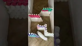 She tried the maze for the first time 😻