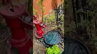 Air BNB Garden