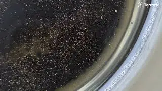 [Terracle] Black TiO2 Photocatalyst - Amazing Bubble Generation Under Indoor Light!