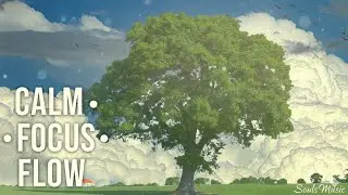 Focus Mode 🌿 | Calm Study Music for Deep Concentration