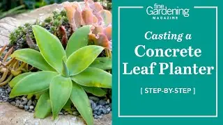 How to Make a Concrete Leaf Planter | DIY Garden Project