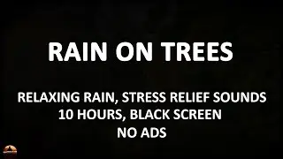 Perfect Rain Sounds for Sleeping, Soothing Sounds for Stress Relief, 10 Hours Black Screen, NO ADS