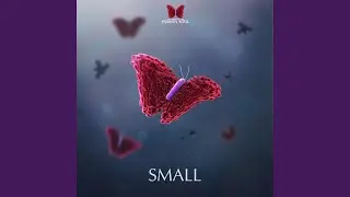 Minimal (Cinematic)