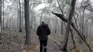 Morning walk in the Australian bush with a DJI Neo