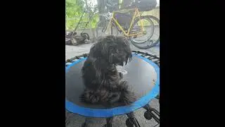 Weed grinder surprise