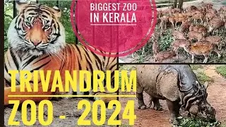 |കേരളത്തിലെ ഏറ്റവും വലിയ മൃഗശാലയിലെ കാഴ്ചകൾ #തിരുവനന്തപുരം #Trivandrum #Zoo @NofasWorld