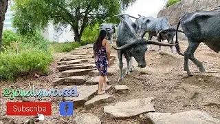 Cattle Drive Sculpture | Pioneer Plaza | Downtown Dallas