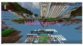NewVectorConfig　#minecrafthack #hive #マイクラ