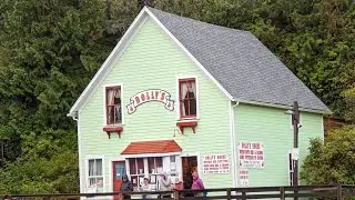 diy Ketchikan AK salmon fishing - rent a rod at Dolly's house for 2 hours ($45), buy AK license home