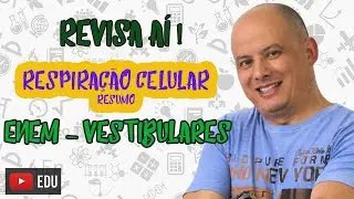 Respiração Celular - Tudo bem explicadinho!