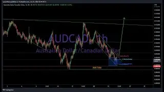 Elliott Wave analysis on AUDCAD and AUDCHF