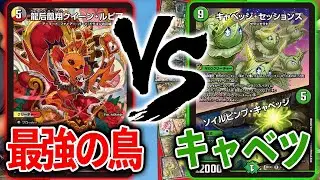 【対戦実況】現在最強デッキ：ファイアーバード　VS　最重量デッキ：水自然キャベツ