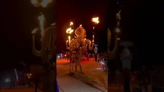 EL Pulpo Mechanico ~ Animalia ~ Burning Man 2023