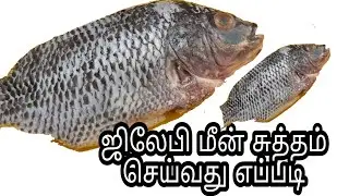 ஜிலேபி மீன் சுத்தம் செய்வது எப்படி || Jilebi Fish cleaning Tamil || Fish cleaning