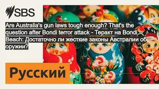 Are Australia's gun laws tough enough? That's the question after Bondi terror attack - Теракт на...