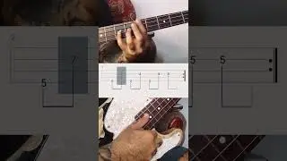 &iexcl;EJERCICIO DE SLAP PARA PRINCIPIANTES! #doublepluck 🦾😎.#bassist #basslesson #slap #slapbass