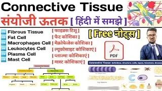 Connective Tissue in hindi | Types of Connective Tissue | Function of Connective Tissue | Notes