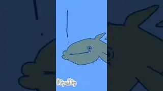 fish eat dish size comparison part 1