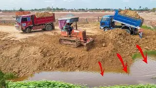 Watch This Dozer Control in Action + 5 Ton Trucks Dumping Soil into Water  Amazing!