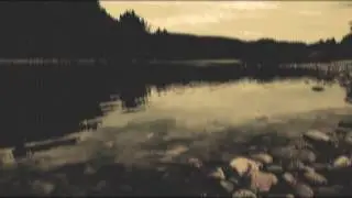 Euphonic Waves