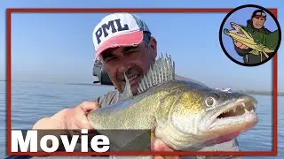 🎣 14 SNOEKBAARZEN, 1 BAARS (50 CM) & 1 SNOEK OP GROOT WATER  🎥  roofvissen | snoekbaars kunstaas #61