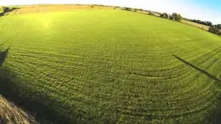 350QX with Gopro