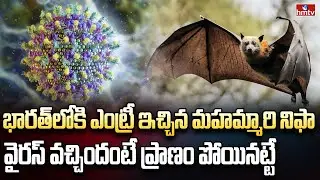 వణికిస్తున్న మరో మహమ్మారి.. కరోనాను మించుతుందా | Burning Topic | hmtv