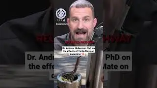 The effects of Yerba Mate on dopamine! (Dr Andrew Huberman PhD) 🧠🧉