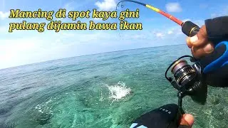 MANCING PINGGIRAN SAAT AIR SURUT ADALAH JALAN NINJAKU‼️BOLEH DICOBA || ULTRALIGHT CASTING 1-3 LB
